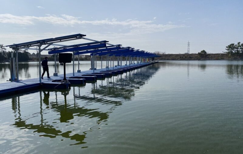 津競艇場の水面特性 汽水の特徴