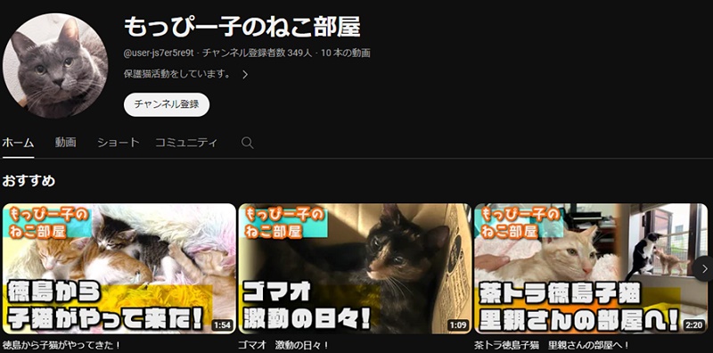 香川素子とは？YouTubeチャンネル「もっぴー子のねこ部屋」