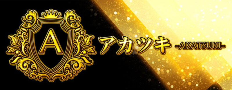 競艇ステディのサービス「アカツキ」